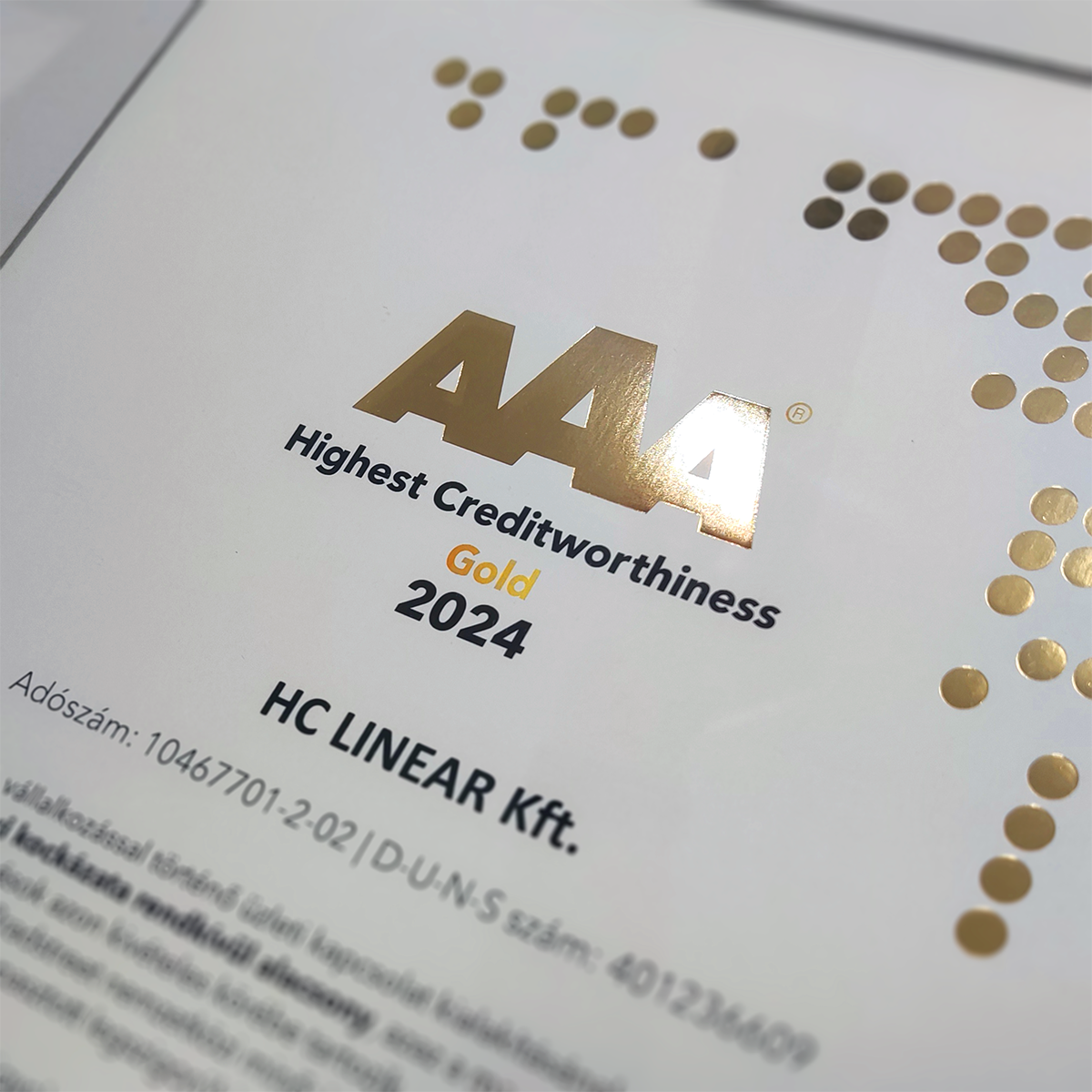 Dun & Bradstreet AAA GOLD